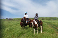 Israel-North-On Horseback in the Land of Galilee